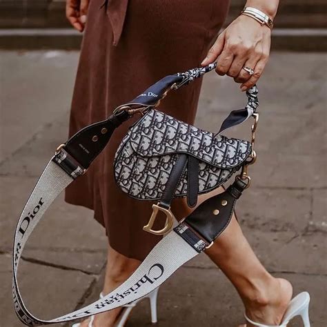 dior saddle bag Icon 